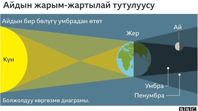 Айдын жарым тутулуусу