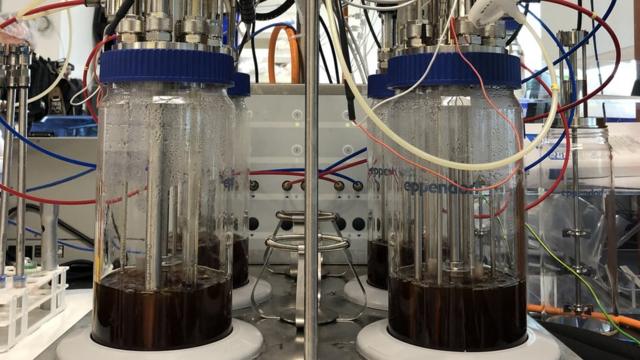 Recipientes de fermentación en el laboratorio Inovo cultivan bacteria para proveer el principal ingrediente de la vacuna