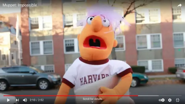 Títere con una camisa de Harvard