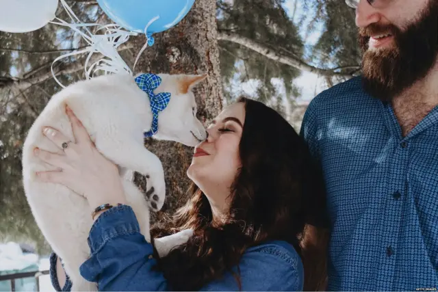 पालतू जानवर