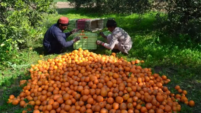 گذشتہ ہفتے کا پاکستان