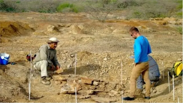 వెనెజ్వెలాలో తవ్వకాలు సాగిస్తున్న పరిశోధకులు