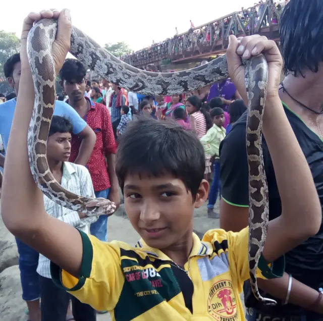 सांपों की पूजा