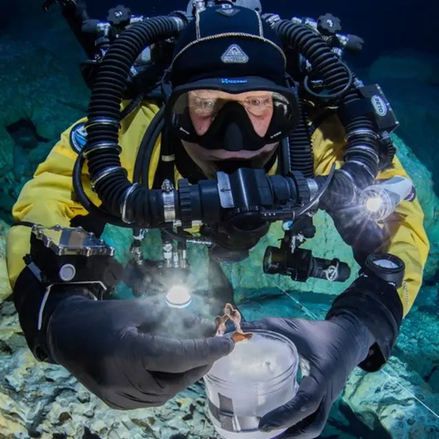 Alberto Nava guarda una de las vértebra cervicales de Naia