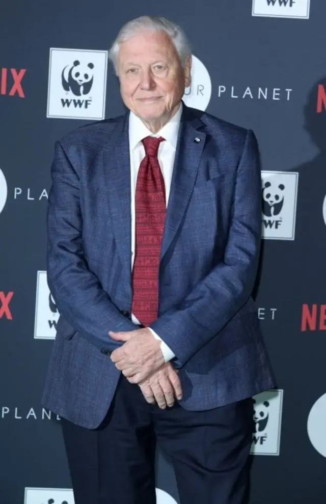 طعبیت، ډېویډ اتنبور