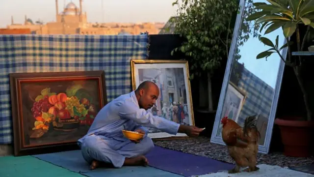 رجل يطعم دجاجة