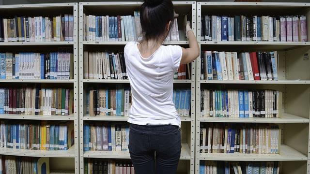 Estudante mexejogo dice na blazeestantejogo dice na blazelivros