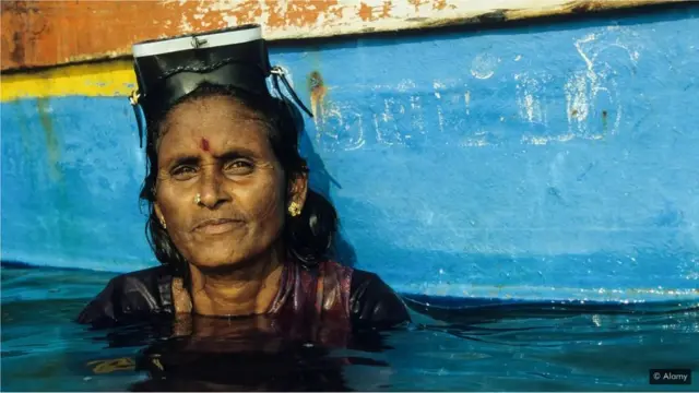 سمندری گھاس