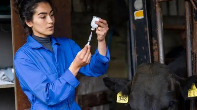 정신 건강상의 어려움을 겪는 수의사들을 지원하는 프로그램은 수의사들이 자신과 동물을 지킬 수 있게 해준다