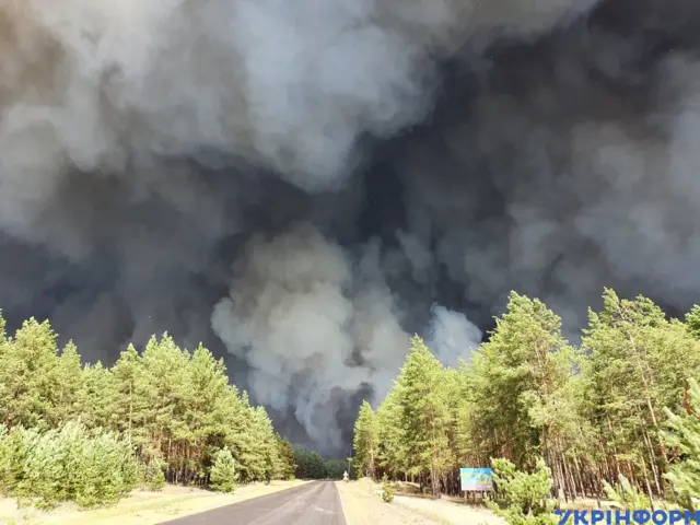 Пожежа на Луганщині