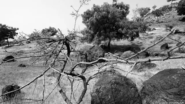 नितीन आगे