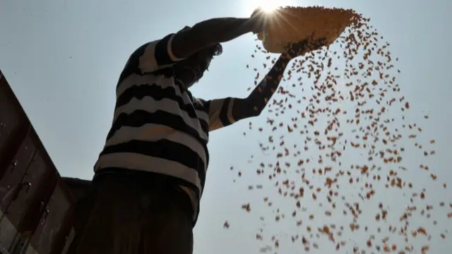 भारतीय किसान