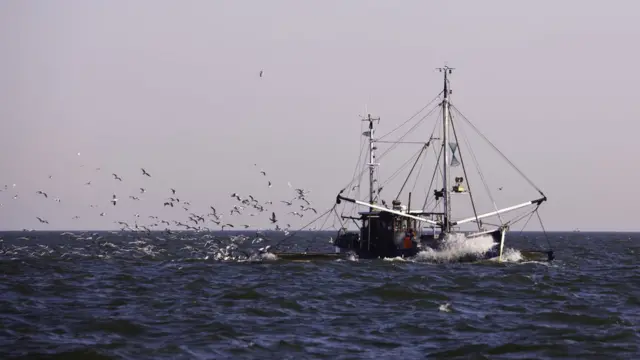 Barco pesquero