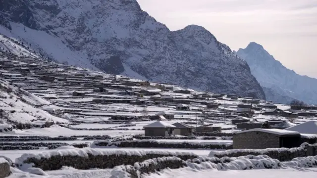 سردی کی شدت