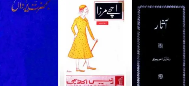 रईस अमरोहवी की किताब