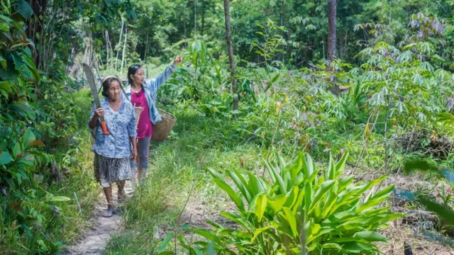 Liz Chicaje Churay y mienbros de su comunidad caminando para cosechar yuca