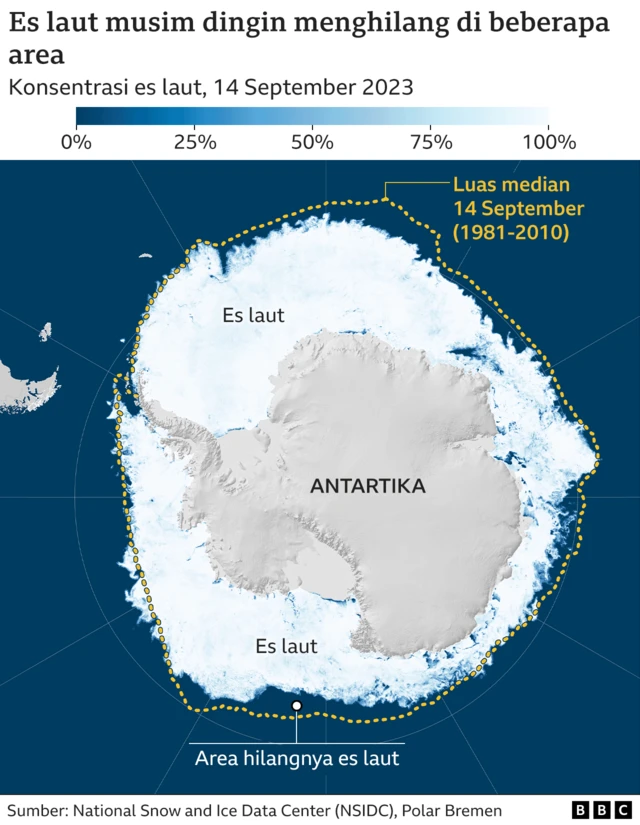 Grafik hilangnya es laut