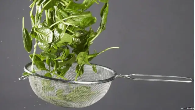 पत्ता गोभी