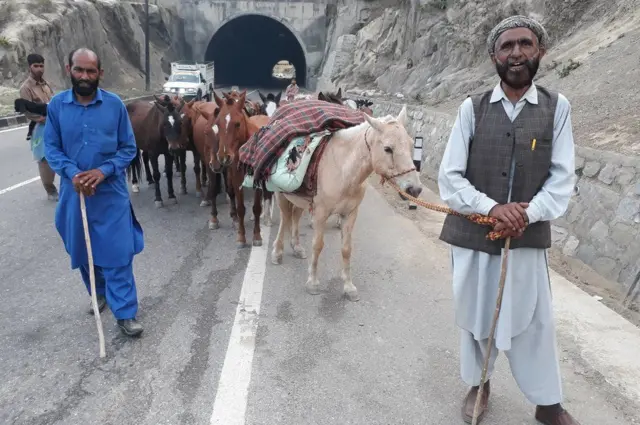 బకర్వాల్ గొర్రెల కాపరి