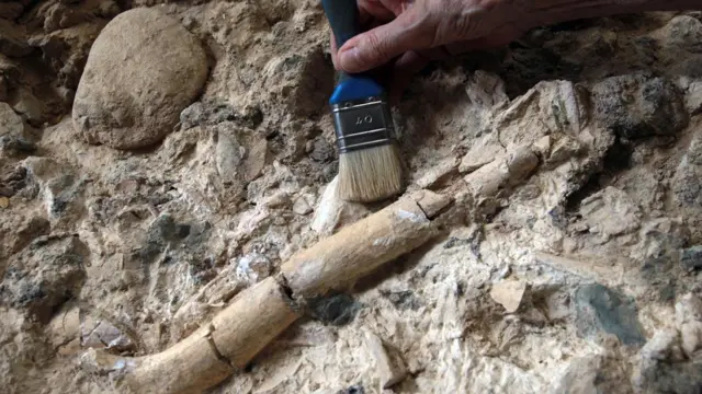 నియాండర్తాల్స్‌