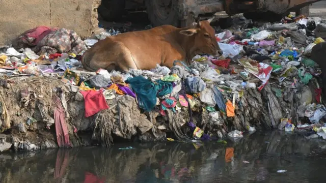 மக்களவைத் தேர்தல் 2019