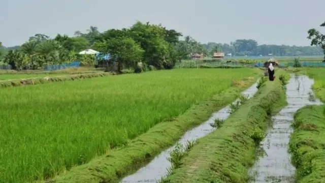 গবেষণায় অংশ নেয়া সিলেটের নারীদের অর্ধেকের বেশি বলেছেন যে, বন্যার কারণে তাদের পরিবার মারাত্মকভাবে ক্ষতির শিকার হয়েছে।