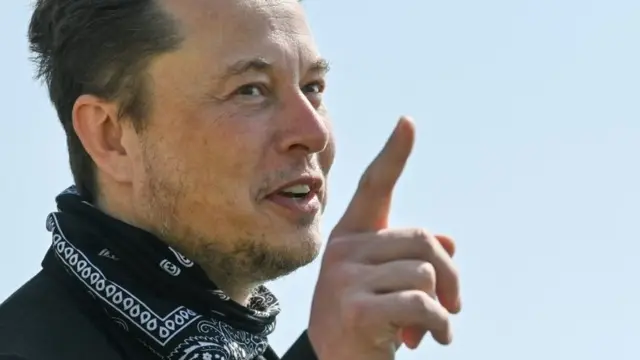 एलन मस्क