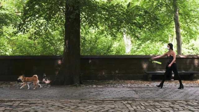 Central Park, New York