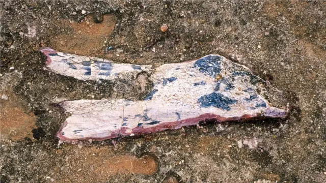 India has a number of famous fossil sites, such as Balasinor in Gujarat - often referred to as the country's "Jurassic Park" (Credit: Alamy)