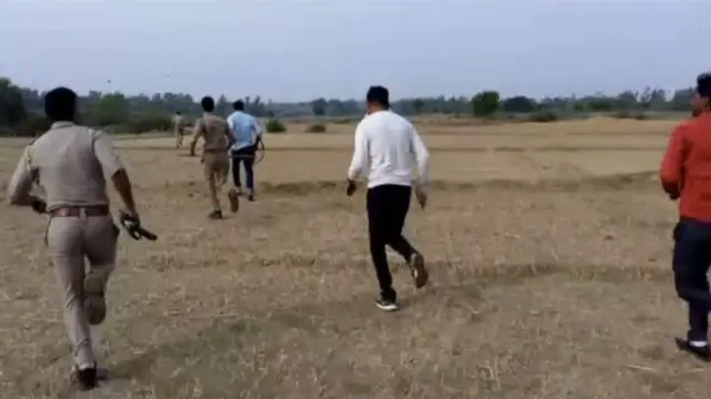 மனிதர்களை உண்ணும் மர்மம் நாய்கள்: பயத்தில் மக்கள்