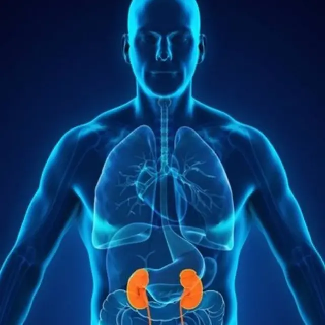 किडनी