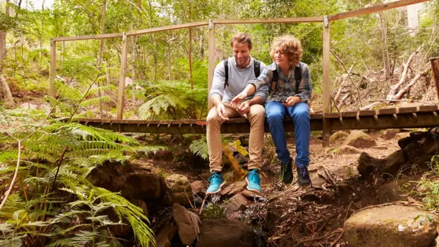 Ешдаунський міст