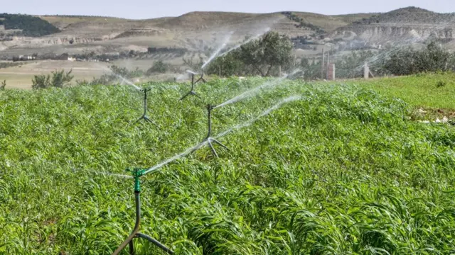 Construction de stations d'épuration des eaux de mer et des eaux usées