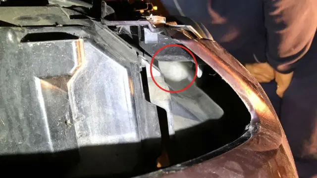 Zoi je morale da ubeđuje Sparkija da izađe iz automobila