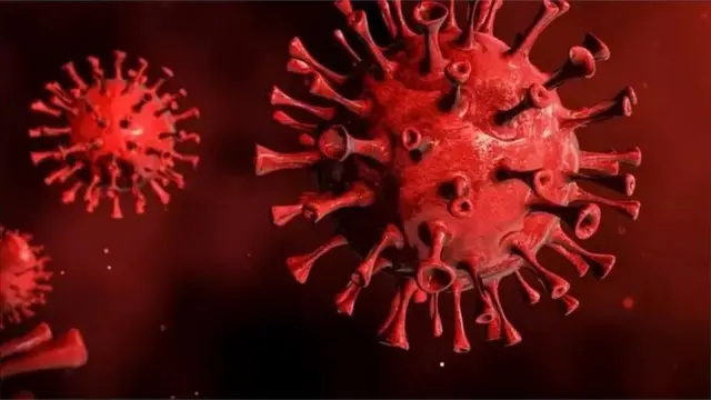 કોરોના વાઇરસ
