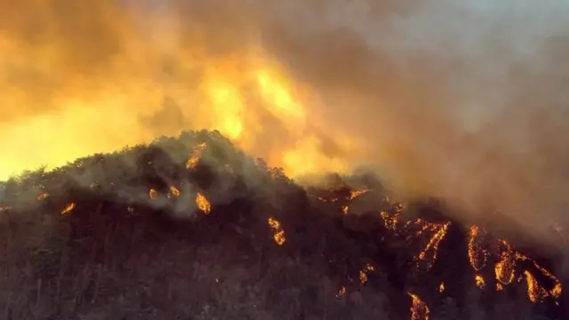 4일 오후 2시 10분 산림당국 울진 산불 3단계 발령