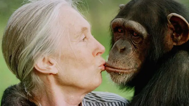 Jane Goodall