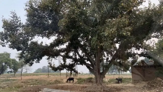 பூலான் தேவி: சம்பல் பள்ளத்தாக்கு மீண்டும் ஒரு பயணம்