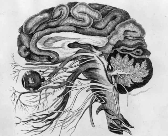 नोबेल पुरस्कार, विज्ञान, संशोधन