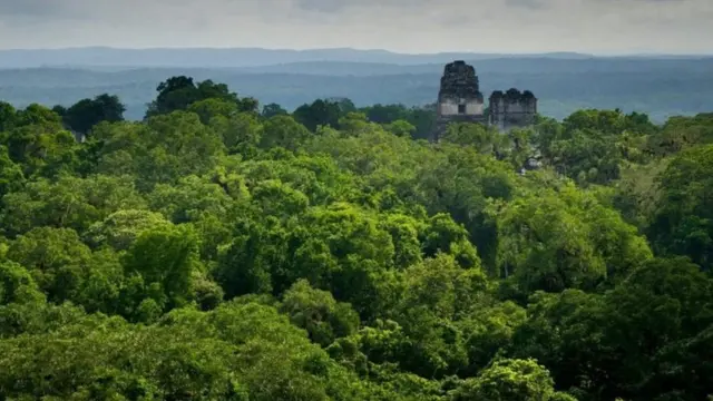 માયા સંસ્કૃતિના લોકો પાણી માટે વર્ષા ઋતુ પર નિર્ભર હતા જેનો સંગ્રહ કરવામાં આવતો હતો