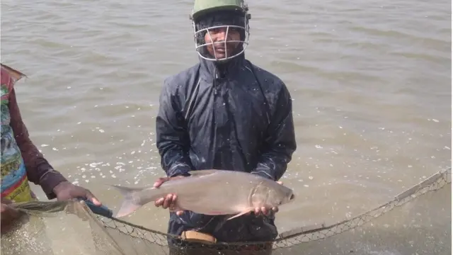 আইপিআরএস পদ্ধতিতে উৎপাদিত মাছ হাতে একজন কর্মী