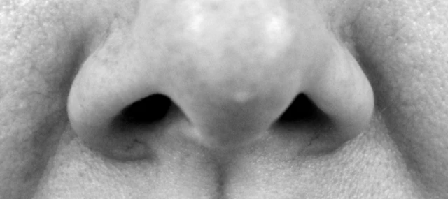 เมื่อจมูกไม่ได้กลิ่น อาจเป็นสัญญาณบ่งชี้ได้ว่ามีการติดเชื้อไวรัสโคโรนาสายพันธุ์ใหม่ในโพรงจมูกแล้ว