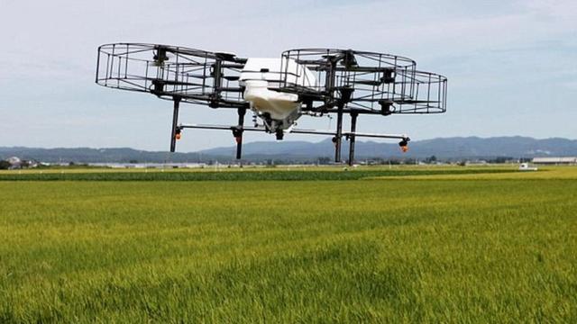 日本稻田的无人机