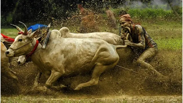 زخات المياه