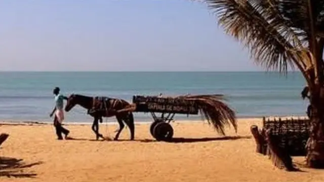 पासपोर्ट, अफ़्रीका , ट्रैवेल, वीज़ा