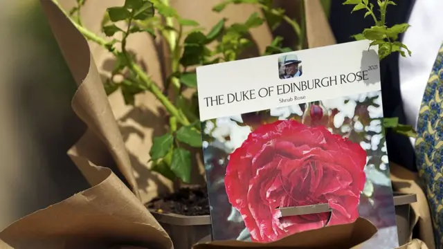 La Rosa del Duque de Edimburgo