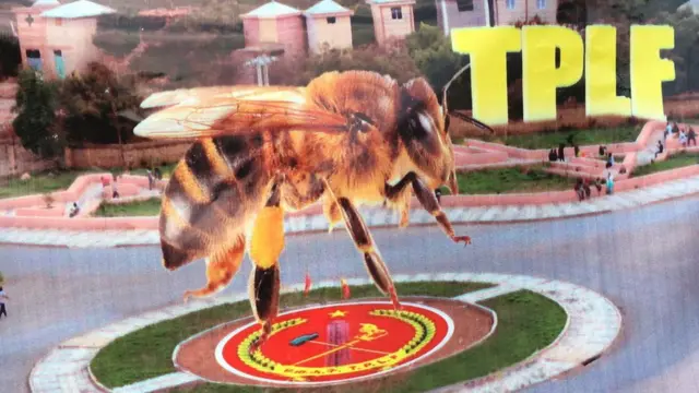 መወዳደሪ ምልክት ህወሓት ንህቢ'ዩ