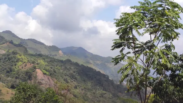 Serranía de las Quinchas