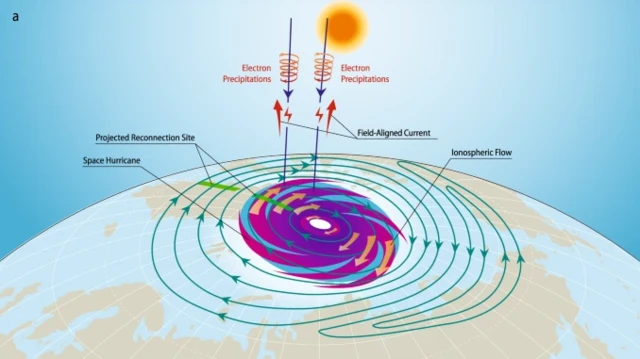 แผนภาพโครงสร้างของเฮอริเคนอวกาศ ชี้ให้เห็นแนวเส้นแรงแม่เหล็กโลกที่เชื่อมต่อกันใหม่ (แถบสีเขียว) รวมทั้งกระแสของประจุไฟฟ้าที่พุ่งขึ้น (ลูกศรสีแดง) และ "ฝนอิเล็กตรอน" ที่ตกกลับลงมา (ลูกศรสีน้ำเงิน)
