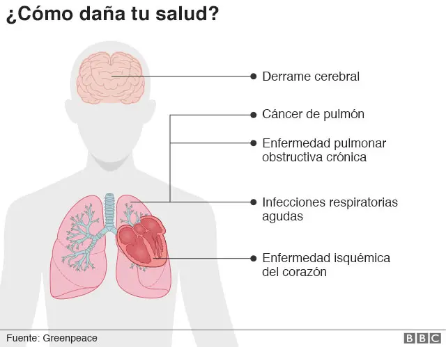 Gráfico que muestra las enfermedades que causa la PM2.5